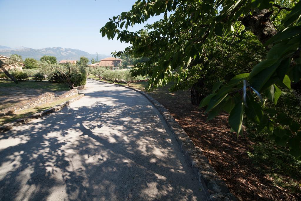 Agriturismo La Molara Sessa Aurunca Exteriér fotografie